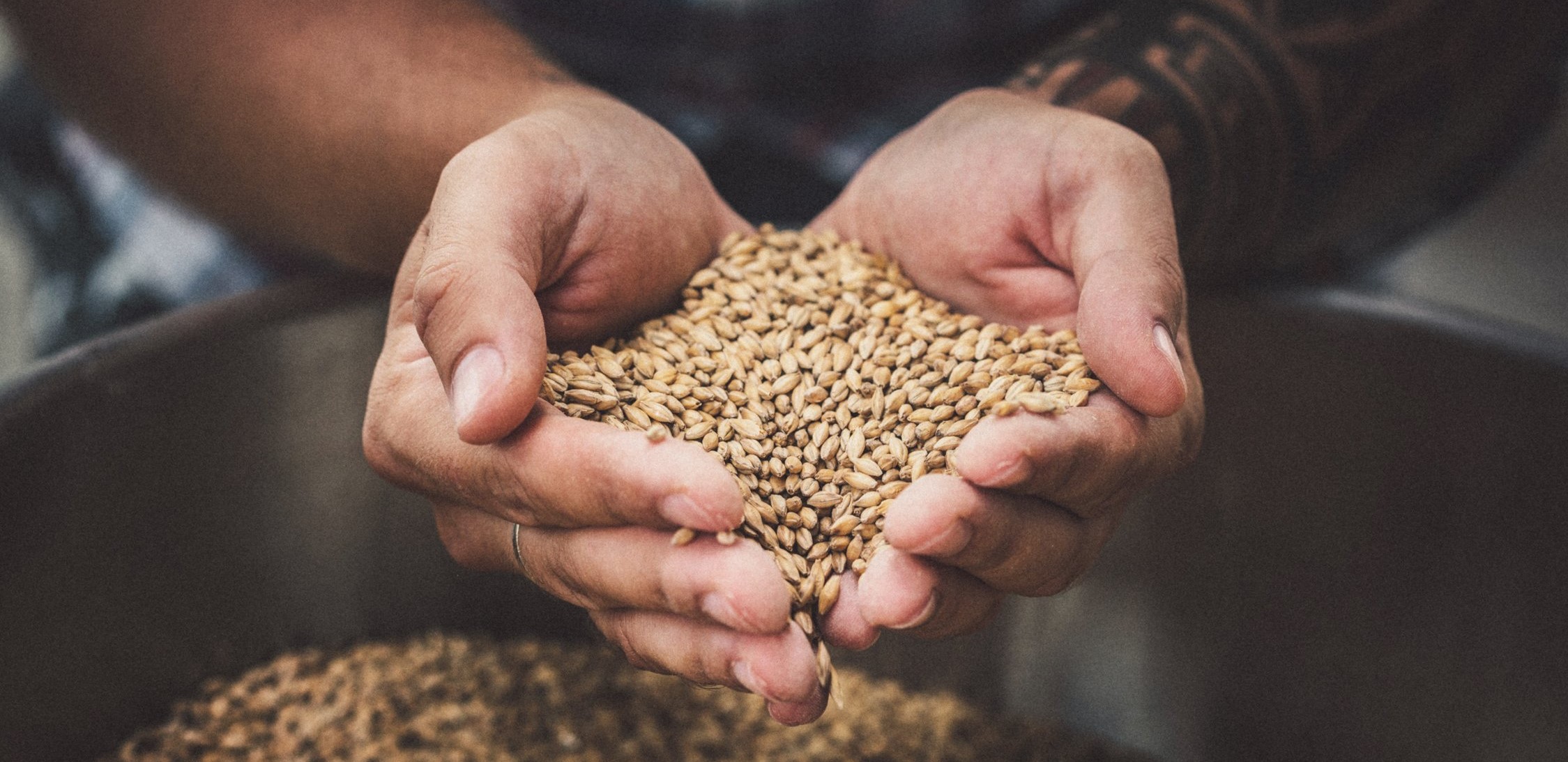 Is Barley Good for Acid Reflux? (Is It Acidic or Alkaline?)