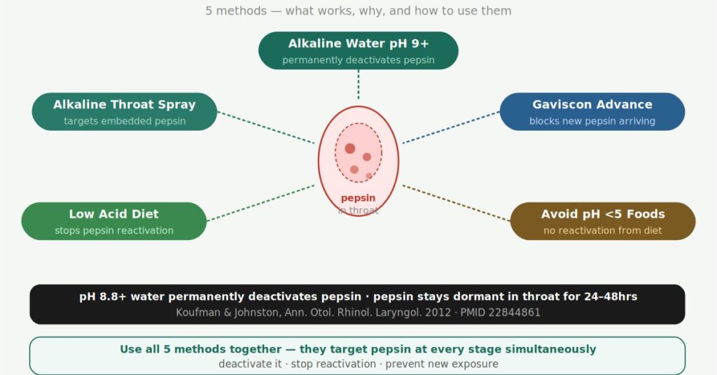 pepsin and the throat