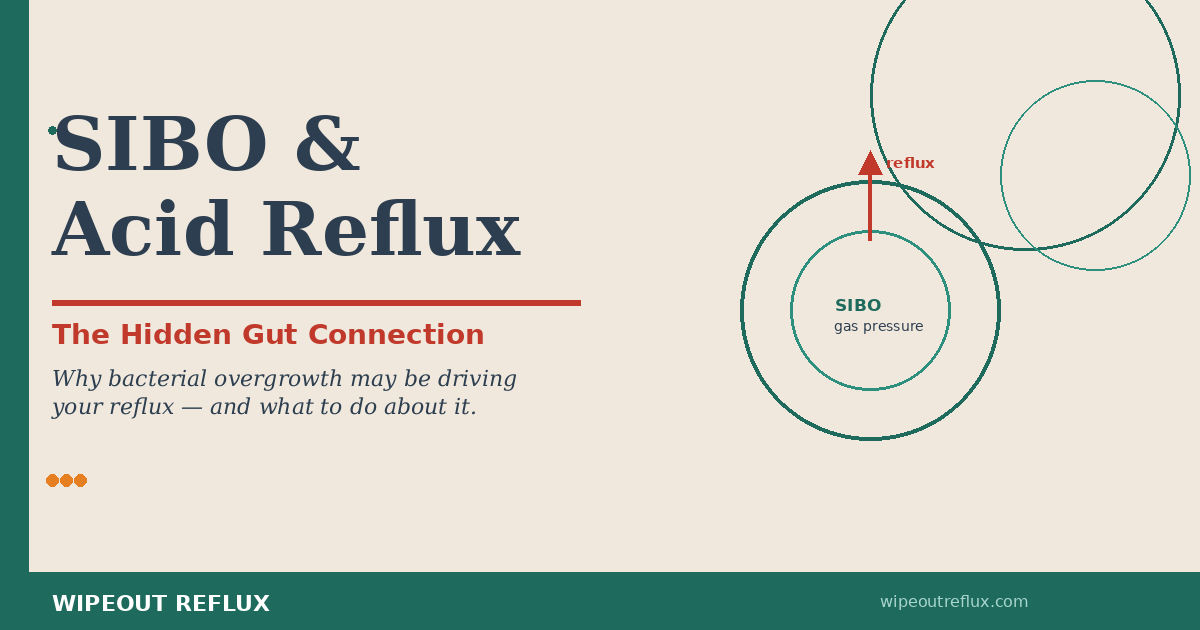 sibo-acid-reflux