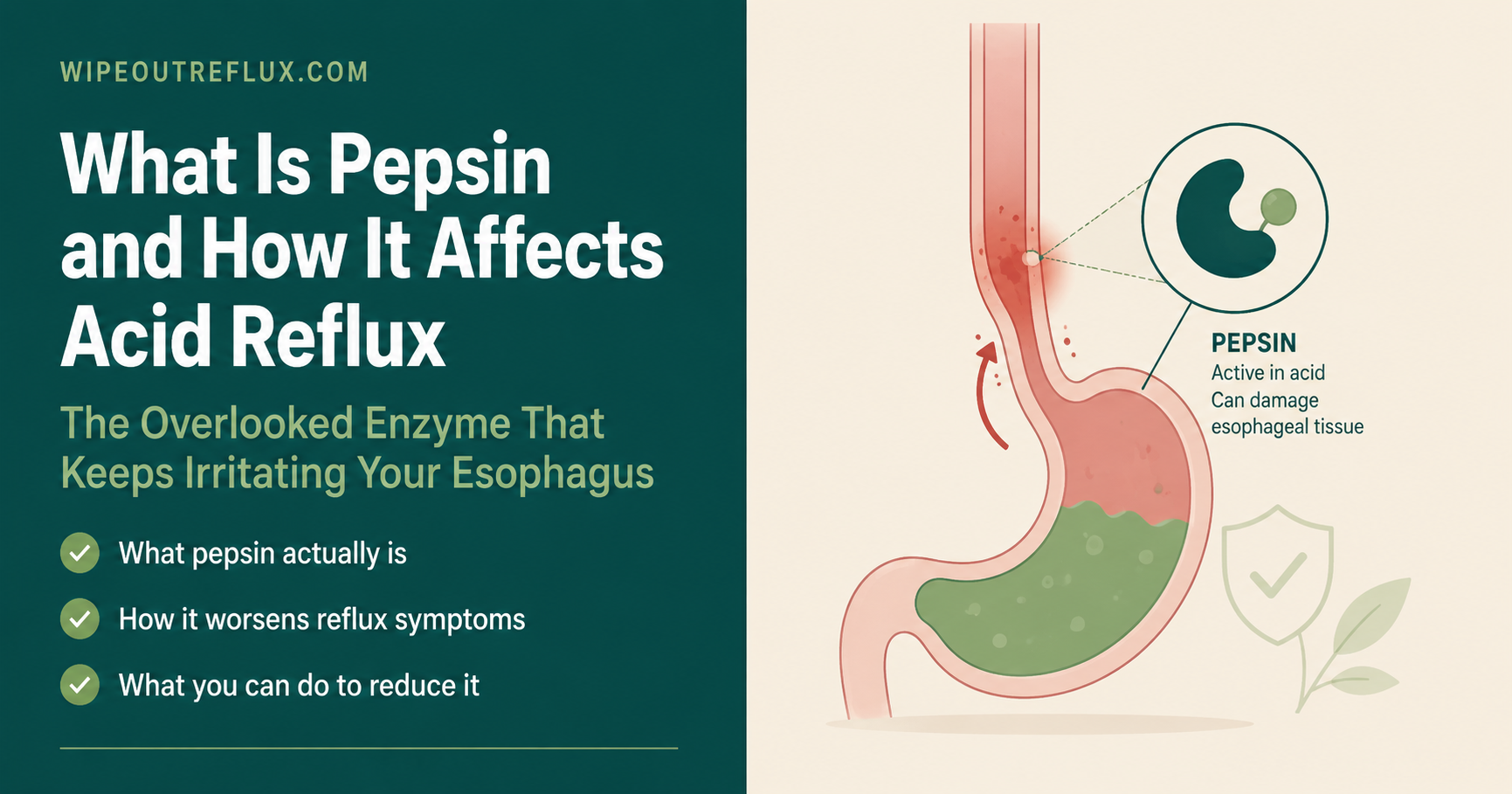 pepsin
