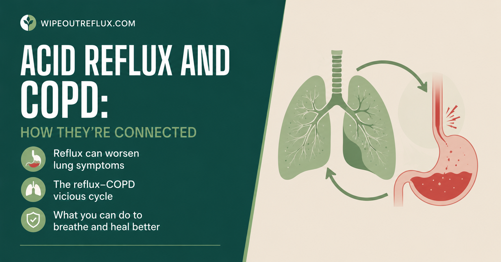 Acid Reflux and COPD: How They’re Linked to Flare-Ups