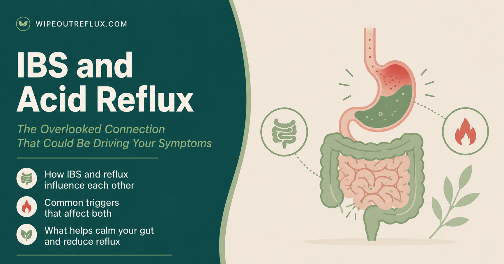 ibs and acid reflux