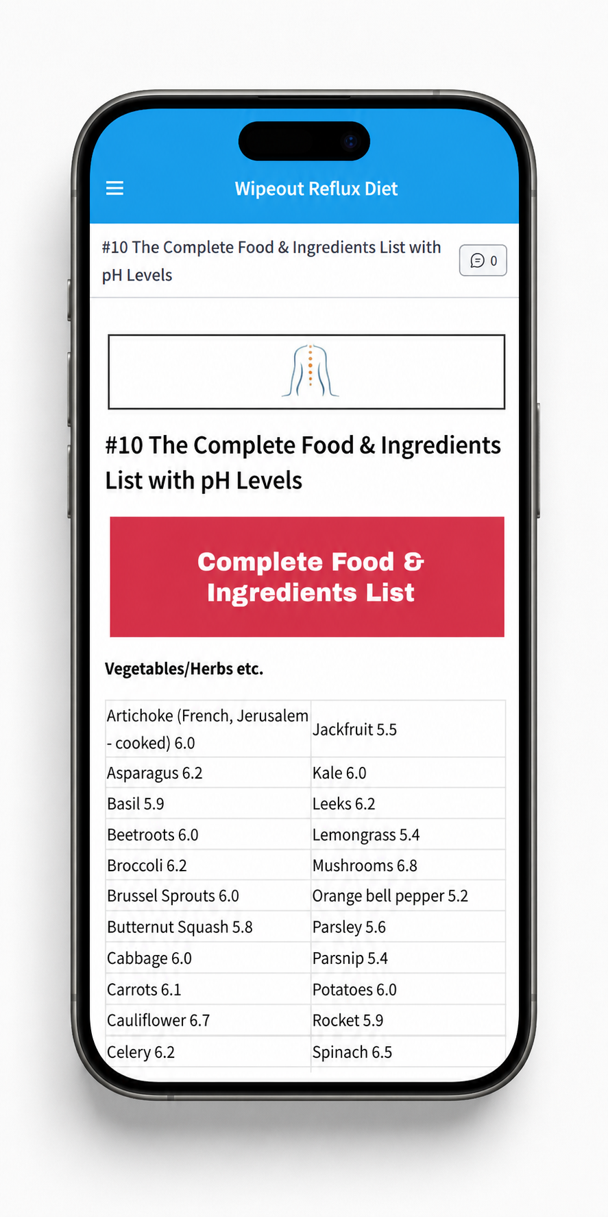 The Wipeout Diet Plan food list shown on an iPhone