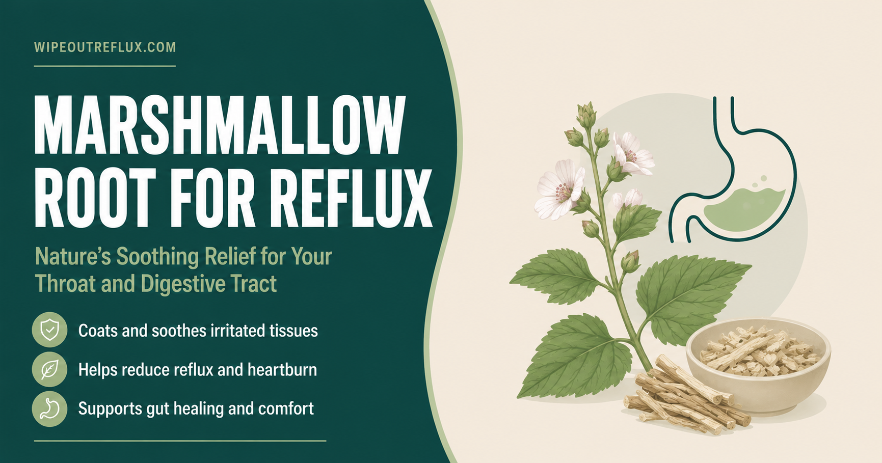 marshmallow root