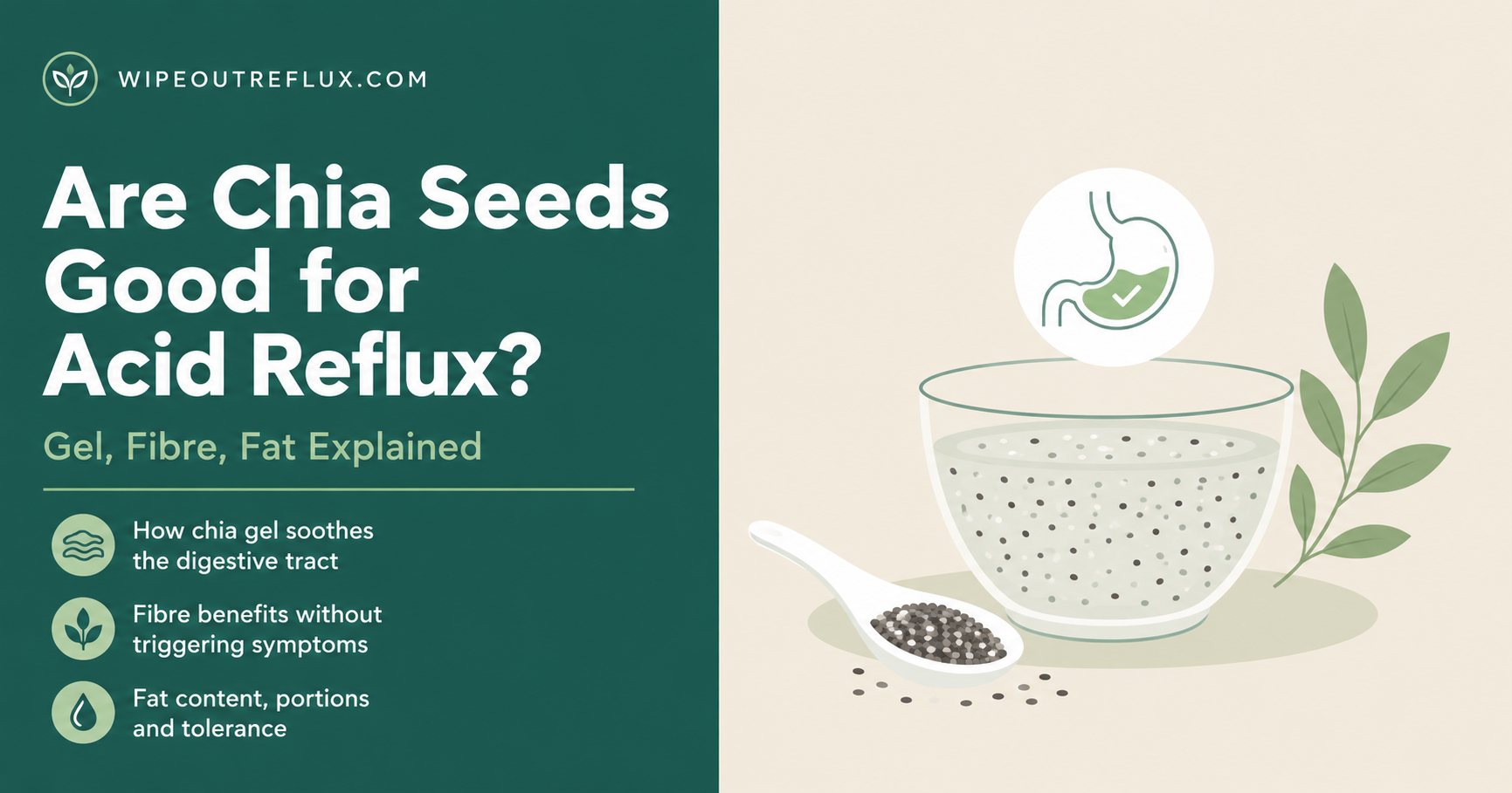 Are Chia Seeds Good for Acid Reflux