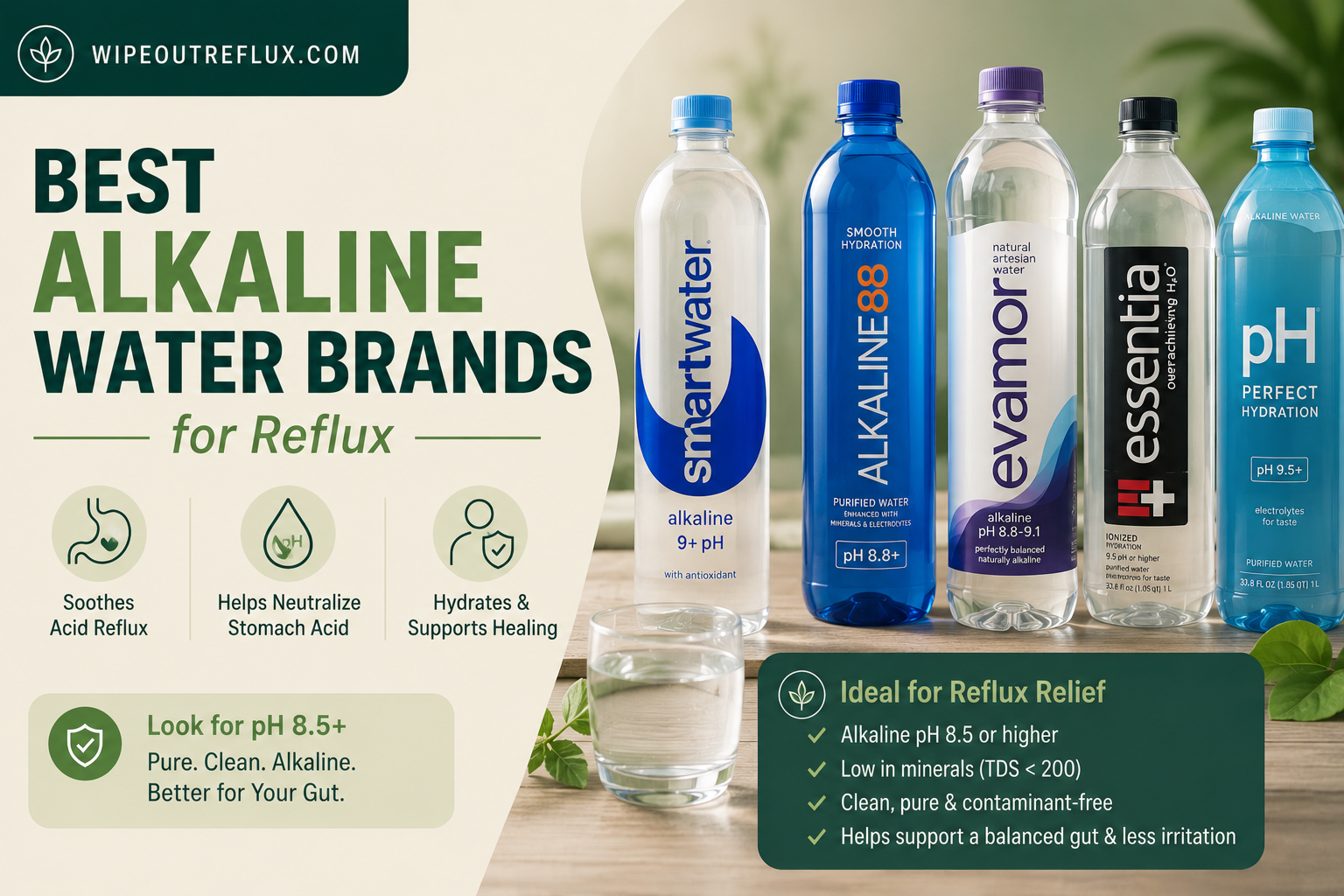 Best Alkaline Water Brands for Reflux