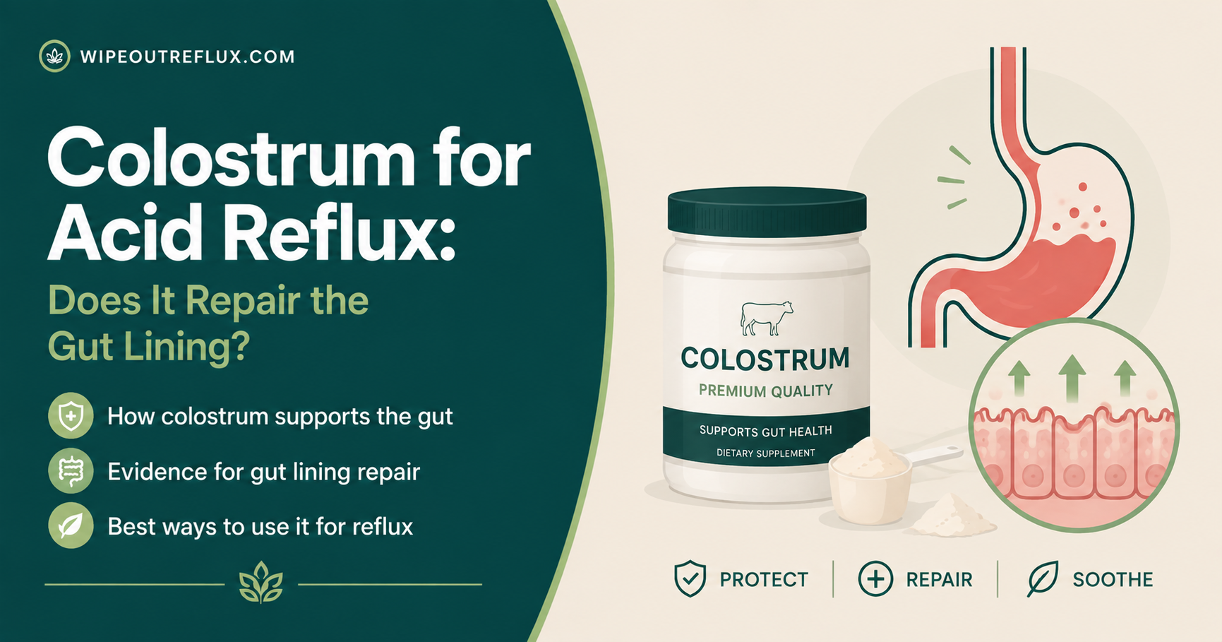 Colostrum for Acid Reflux Does It Repair the Gut Lining