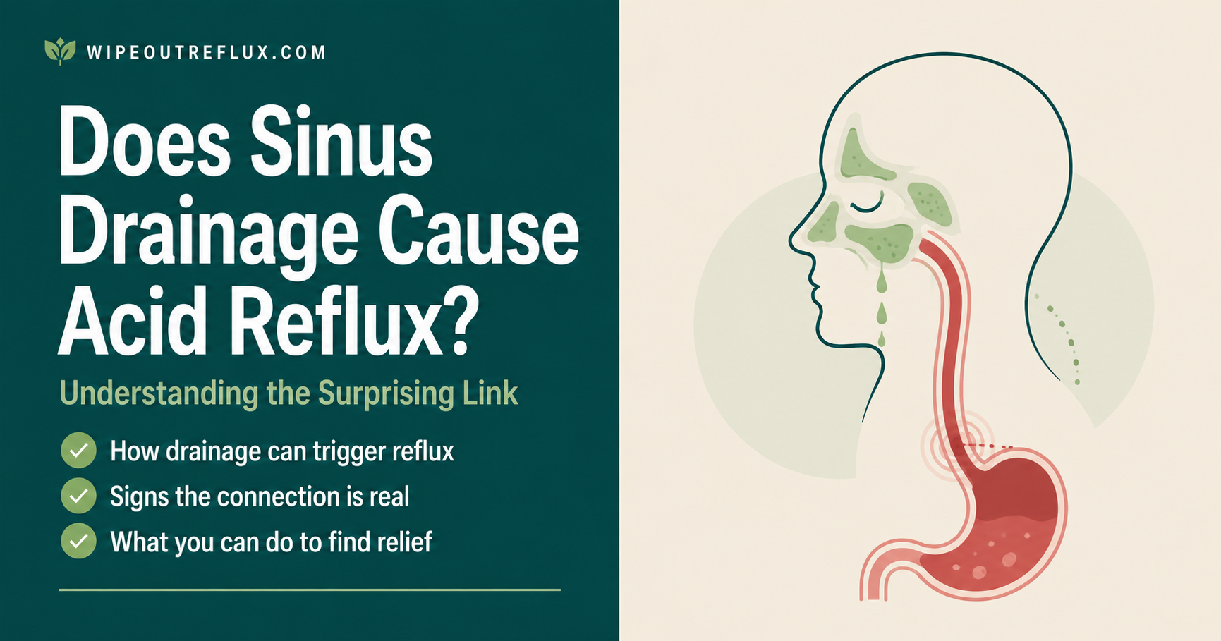 Does Sinus Drainage Cause Acid Reflux