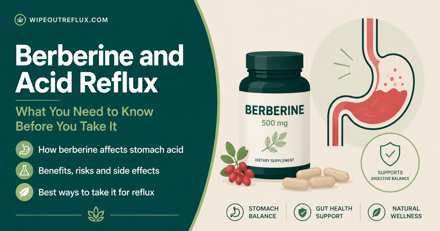 beberine and acid reflux