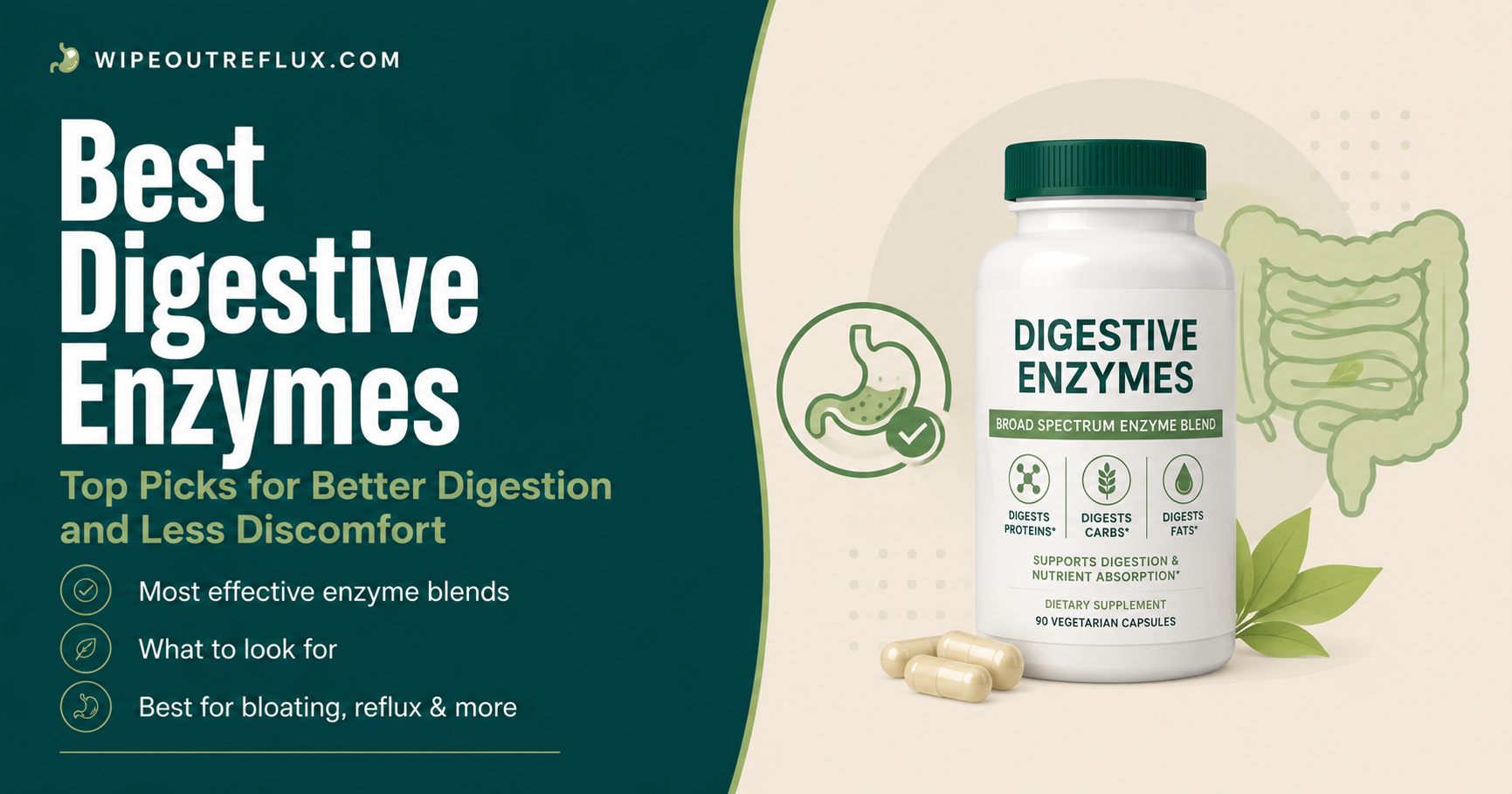 best digestive enzymes