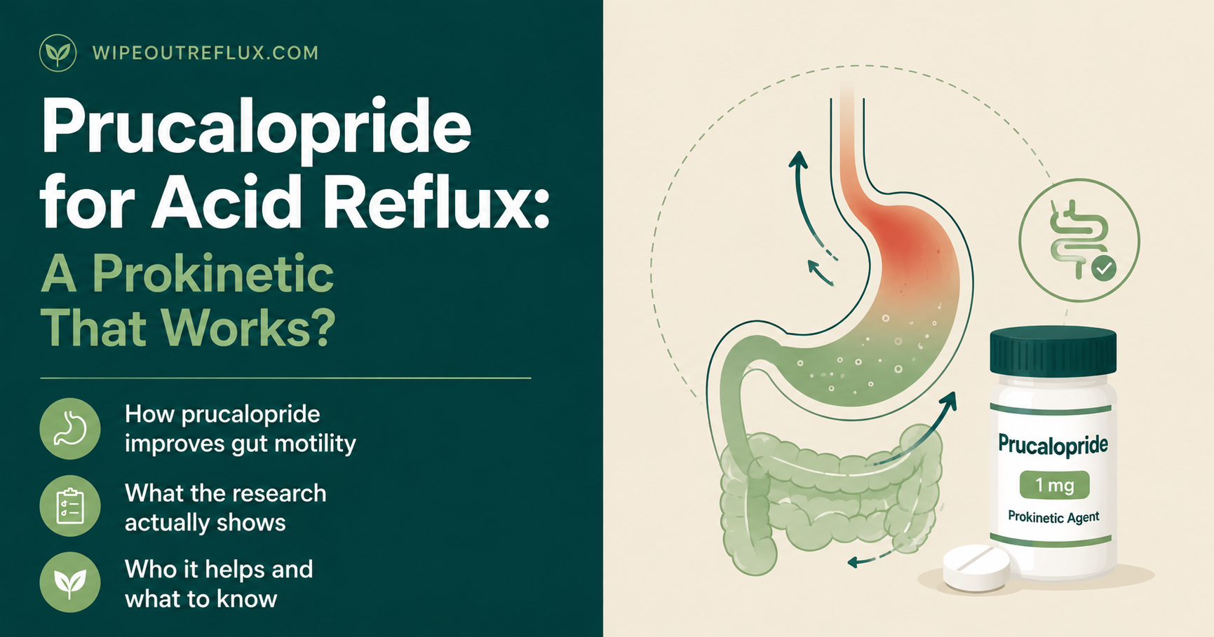Prucalopride for Acid Reflux: A Prokinetic That Works?