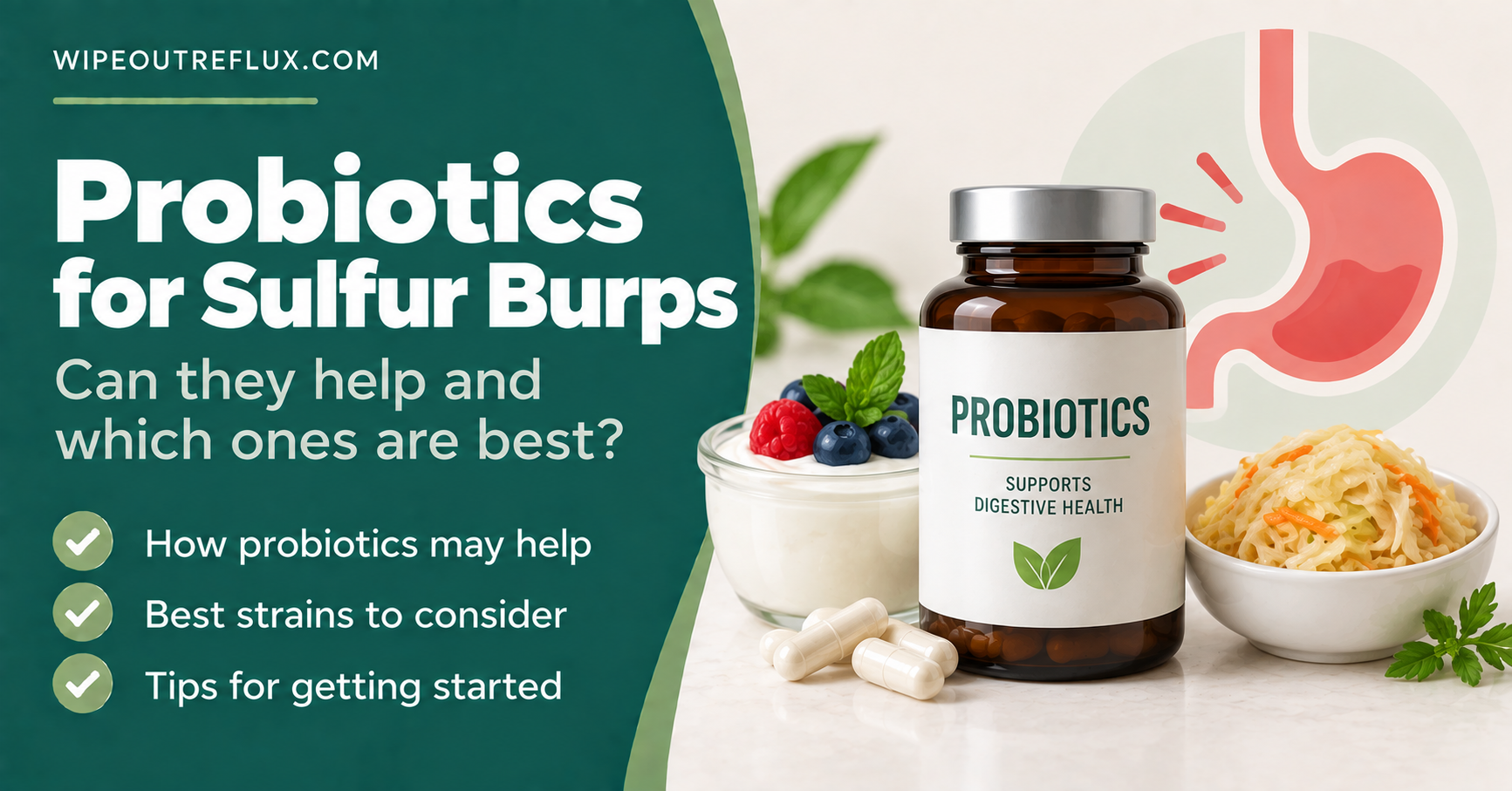 Probiotics for sulfur burps