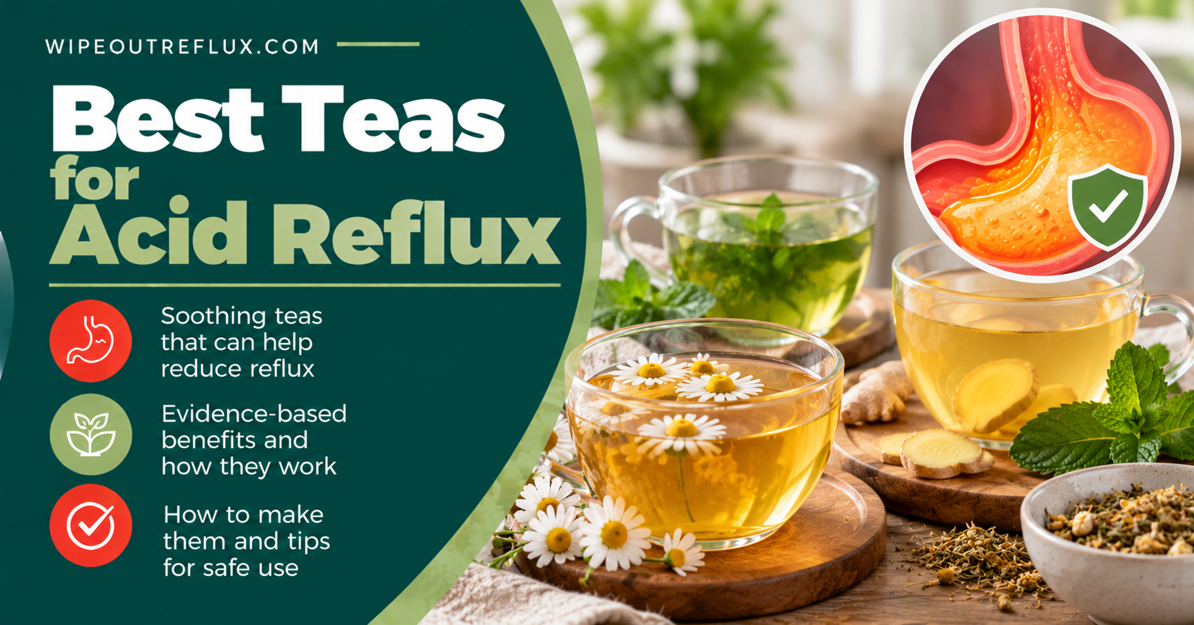 Best Teas for Acid Reflux
