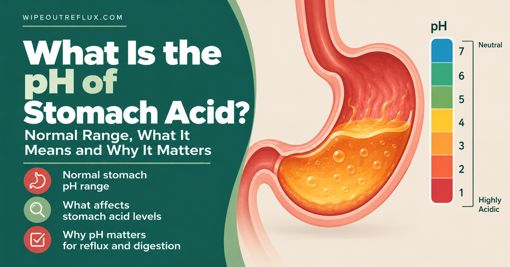 What Is the pH of Stomach Acid
